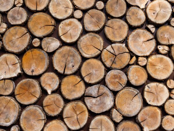 background of round dry wooden cuts 2023 11 27 04 52 36 utc (1)