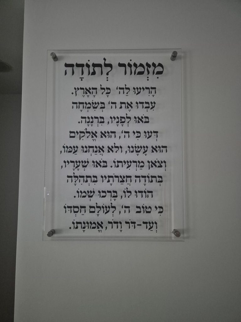 תמונה #1 מאת שלי ראובן