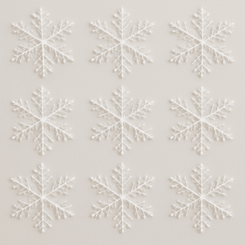 081ec144 be28 11f0 880e 36b32408937b