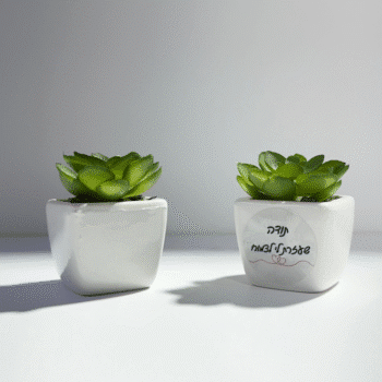 0942e756 8bb7 11f0 a78d 469f041b66f0