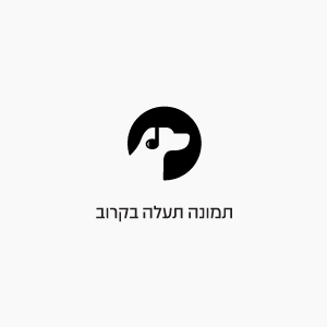 פריט בדיקה 2