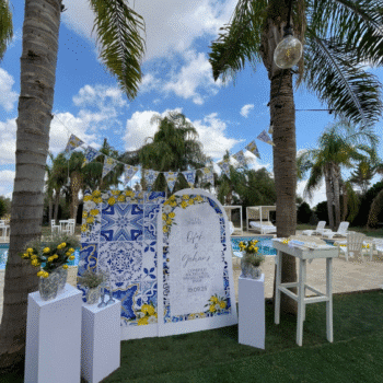 0ba132d8 ab55 11f0 a159 c6223bdc676b