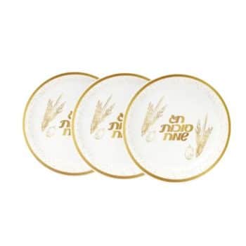 צלחות גדולות סוכות שמח-10 יחידות