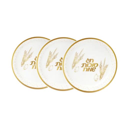 צלחות גדולות סוכות שמח-10 יחידות