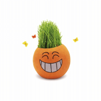 ראש דשא בכלי קרמי