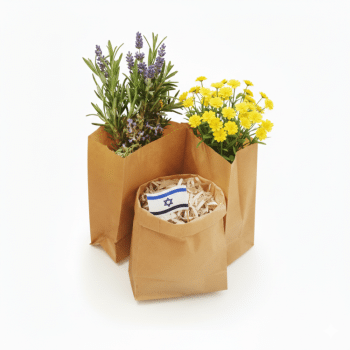 שקיות נייר בסיס קראפט-25 יחידות