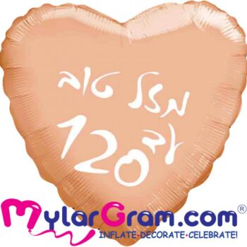 25476c1a b97f 11f0 929a fa8098539ba5