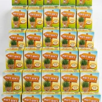 ראש דשא -36  יחידות במבצע