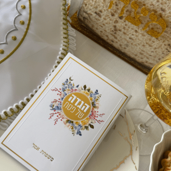 הגדה כריכה רכה עם הטבעת לוגו- בחירת דוגמא