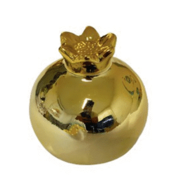 4905f606 7697 11f0 b0c5 de5cabd3879e