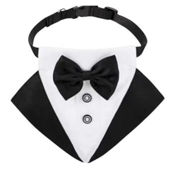 קולר טוקסידו לכלב