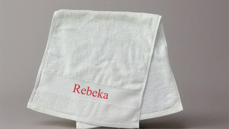 556a581a a1c1 11f0 8e68 b20606fdc3bd