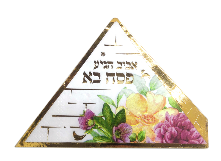 55d74d98 fe52 11ef 894f 5ad776fc2364