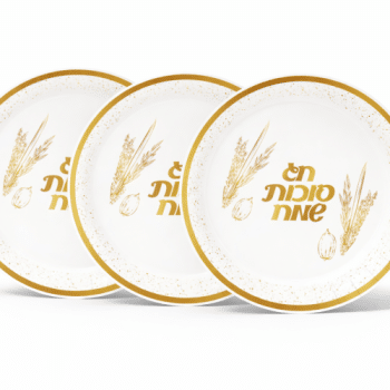 צלחות קטנות סוכות שמח-10 יחידות