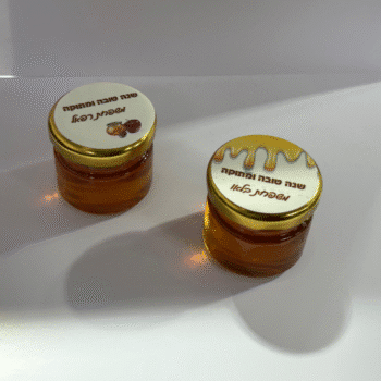 667b739e 783d 11f0 8efd b2888a9f8736