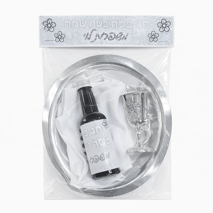 ערכת פסח לילדים דגם כסוף