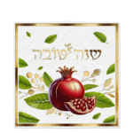 6d4cf09c 7696 11f0 8e94 b2888a9f8736