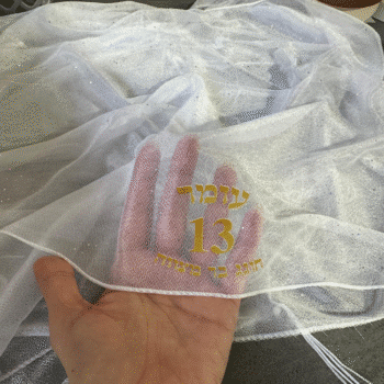 765a7684 a1c8 11f0 a090 3688a27cc290