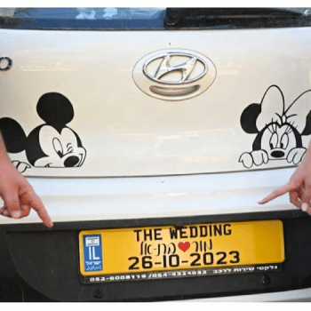 לוחית רישוי מקורית צהובה ארוכה לצילומי החתונה