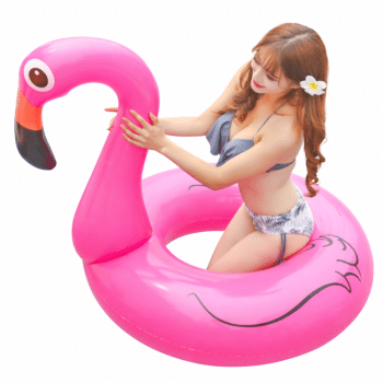 גלגל ים פלמינגו