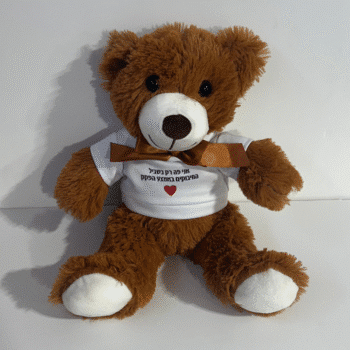 a01979f2 6c44 11f0 a744 32a03edb3c00