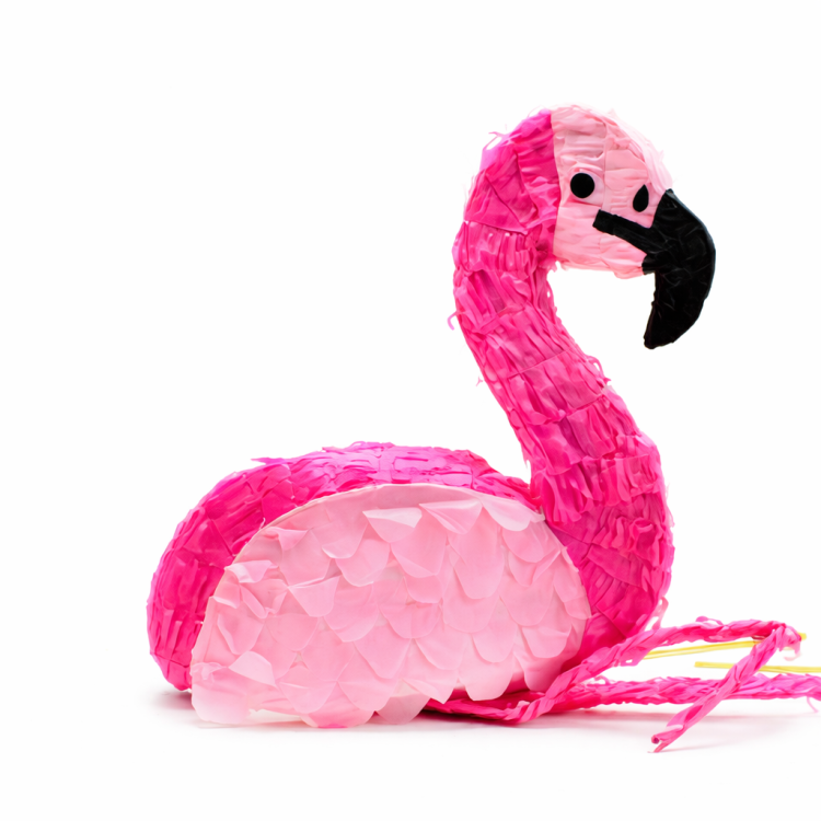 פיניאטה פלמינגו