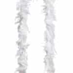 a47e6c4e 620f 11f0 82c7 12b78b8fbd60