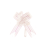 b3dc0954 de5a 11f0 afcd 126a24fb0caf