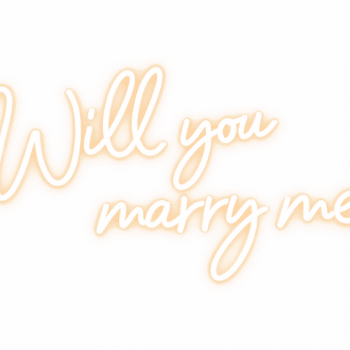 שלט ניאון לד will you marry  me