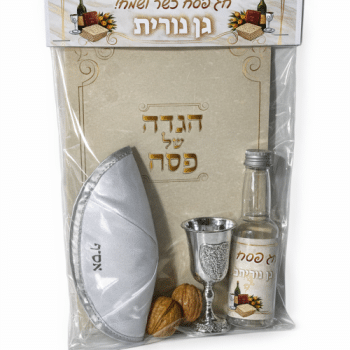 ערכת פסח לילדים ממותגת דגם זהב