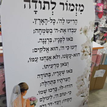 b85a0a66 622d 11f0 929f fe0341c797dc