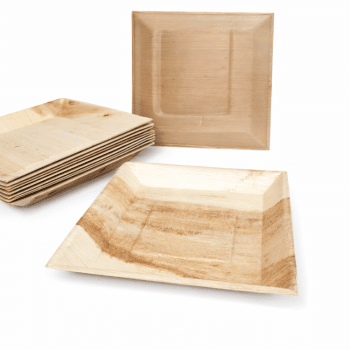 צלחות ריבוע עלי דקל גדול-10 יחידות