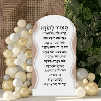 c316cfa0 a1cc 11f0 a041 3688a27cc290