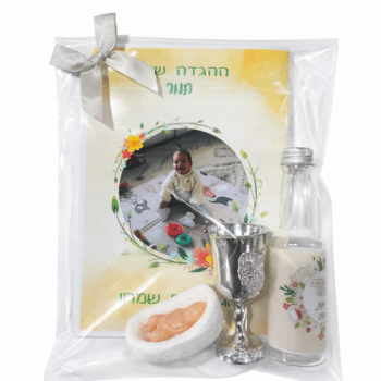 ערכת פסח לילד –  הגדה עם תמונה, גביע בקבוק יין ומשה בתיבה