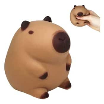 סקוושי קפיברה דגם חדש