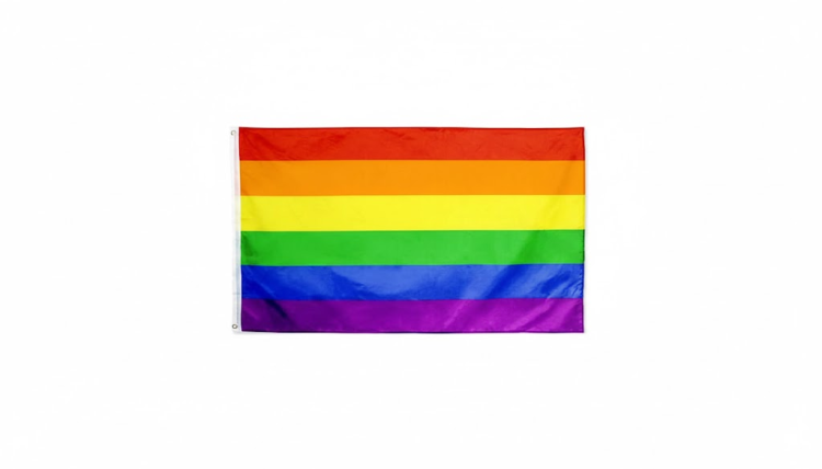 דגל גדול מצעד הגאווה