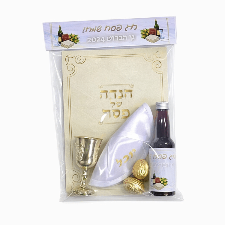 ערכת פסח לילדים ממותגת דגם זהב