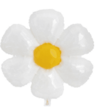 fbd2c2a0 c53e 11f0 a4c5 faf36f04877e