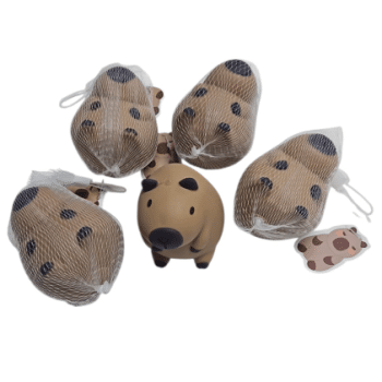 סקוושי קפבירה ברשת